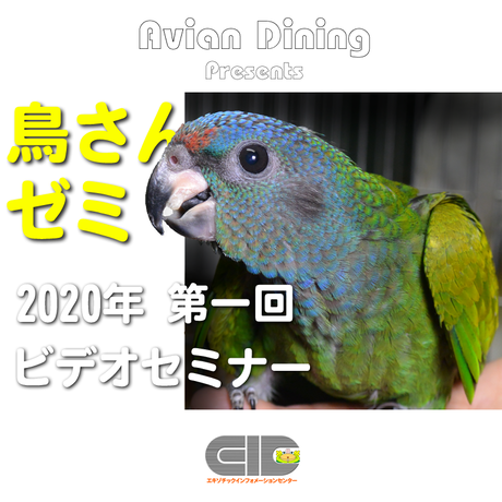 5ebb9c1fbd217821b6c57bdc