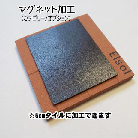 517010c09de2f071d8000797