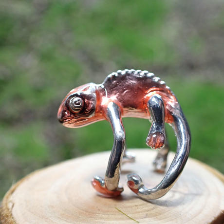 Chameleon Stores