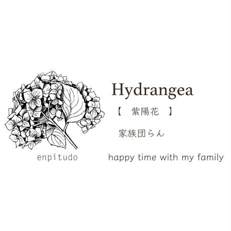 5e9947fb34ef0128a655faf3