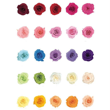 5c541259aee1bb782d418208