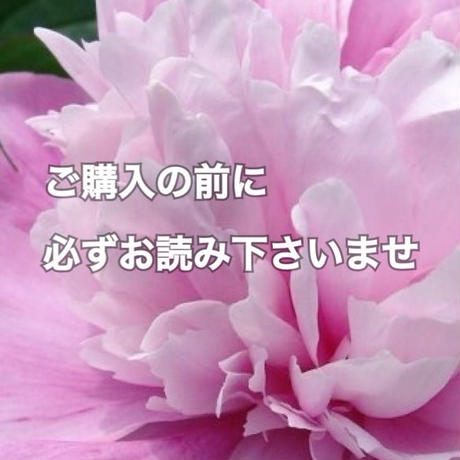 5883986041f8e86b8800b8ed