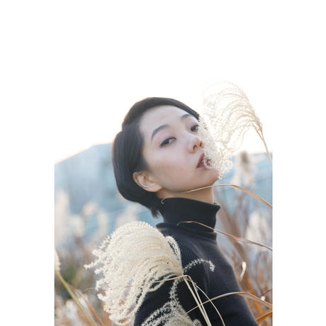 5a680c9227d1cc31f7001ba0