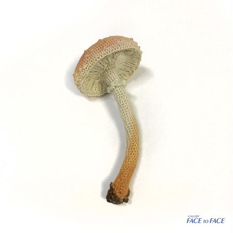 5c38b59e14444805f1594372