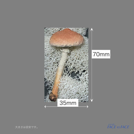 5c38b59e14444805f1594372