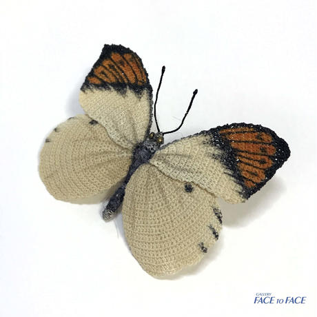 5c36f20fc3976c0383ec9e50