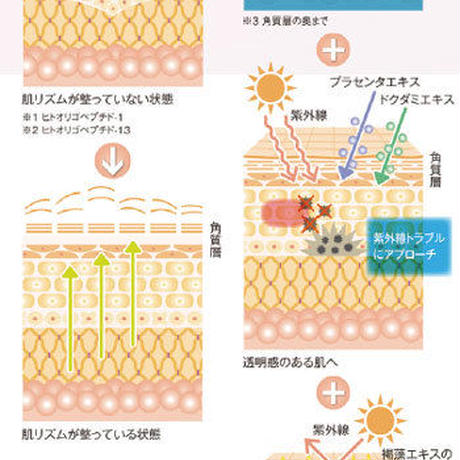 59dcca2492d75f2786001e86