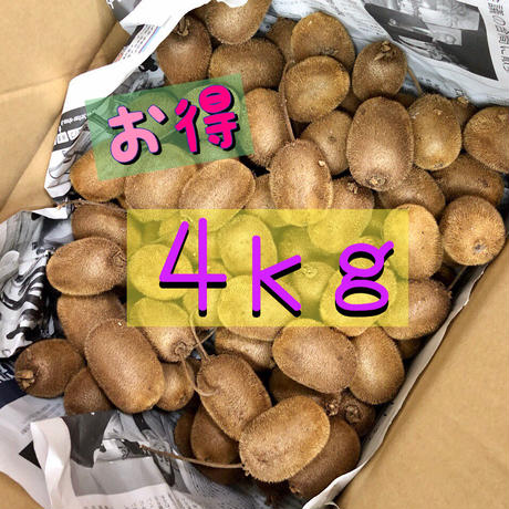 5dd346c0b2f6fd5363e765d1