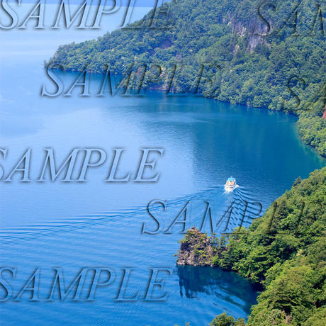 556d7a263cd4826b33004d05