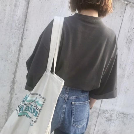 5b6485065496ff2d66001ee5