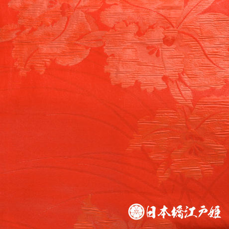 5c19414a2a28621de561a13e