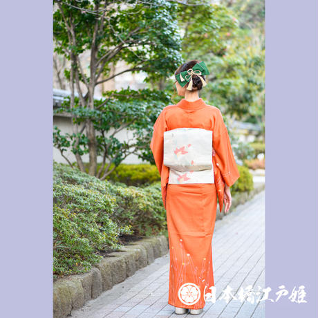 5b3515ff5496ff39c70015ea