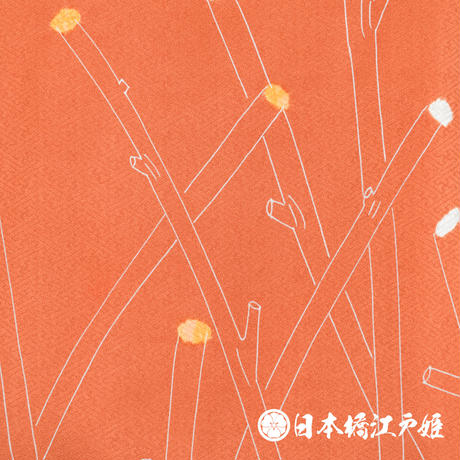 5b3515ff5496ff39c70015ea
