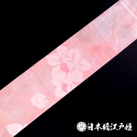 5b2fa43950bbc37ed60045b4