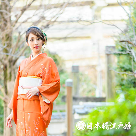 5b3515ff5496ff39c70015ea