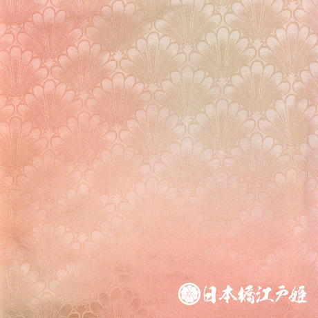 5c1945ce144448520cdc3d66