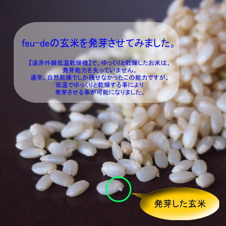518c51b262d7d565a500006d