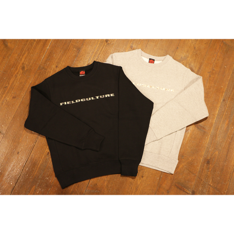 589d60b900d33151bf000258