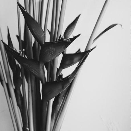58d8c800748e5b1249001949