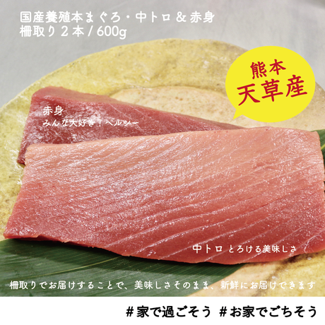 5eb78fe872b9111110dc73b0