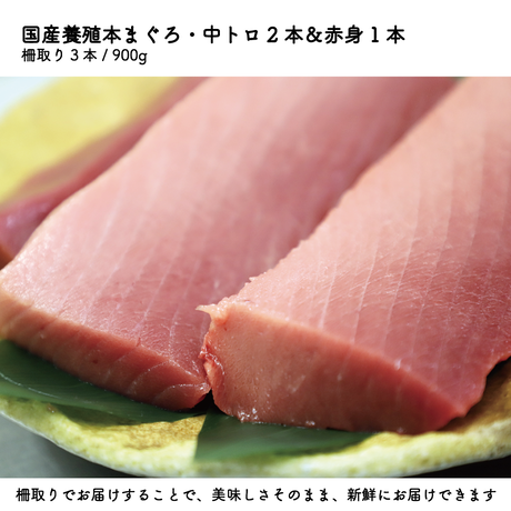 5ec61b8334ef011bb57f48e6