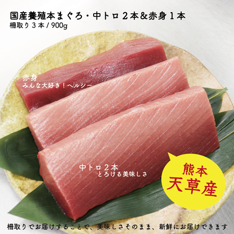 5ec61b8334ef011bb57f48e6