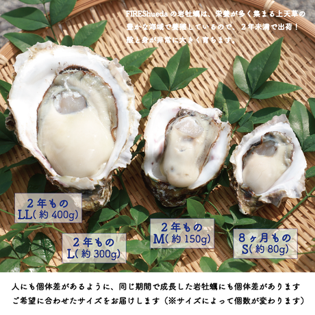 5ebb500a34ef01305719ac86