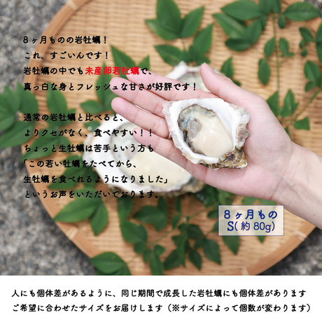 5ebb500a34ef01305719ac86