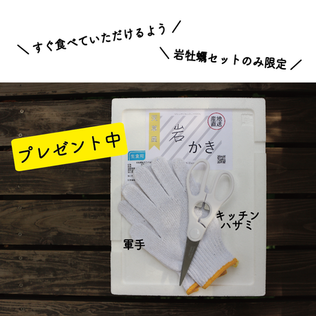 5ebb500a34ef01305719ac86
