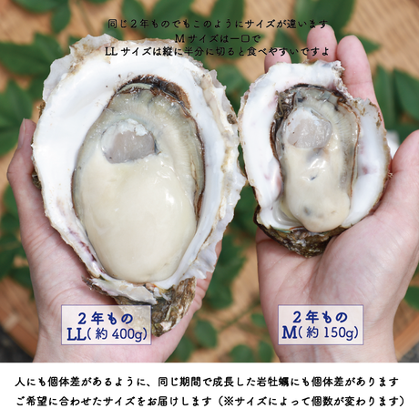 5ebb500a34ef01305719ac86