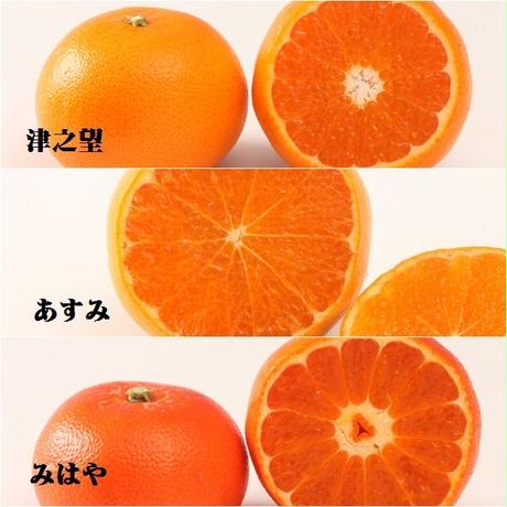 56f9d9373bcba91c6c000e66