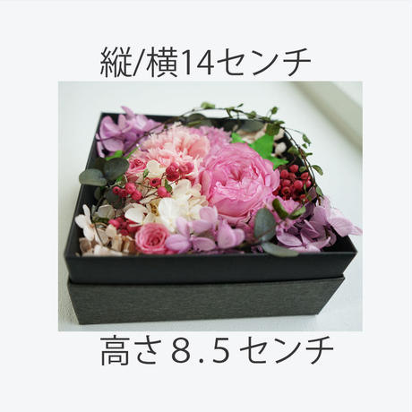 5b2c5359ef843f07e500000c