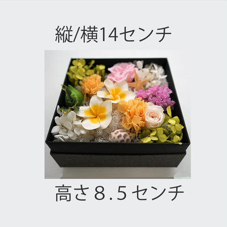 5b335aa6ef843f56a90002c6