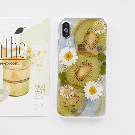 Stores 押し花の検索結果