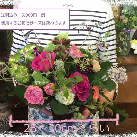 56e123303cd4822e34000114