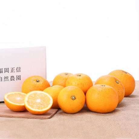 5c626dc0787d843c39bcb596