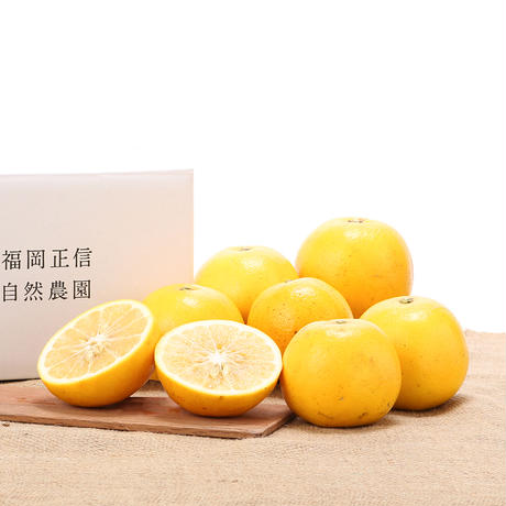 5cbff523d211bf64e878a9a7