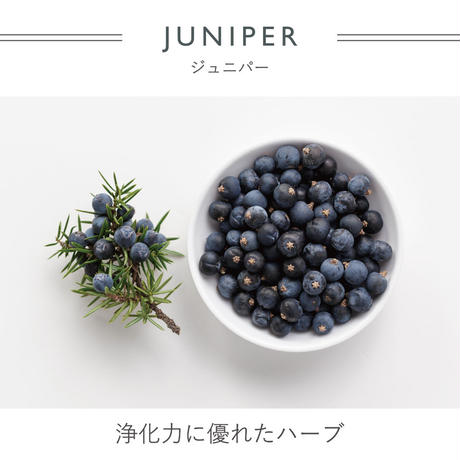 5af850a6434c7248f2001cc3