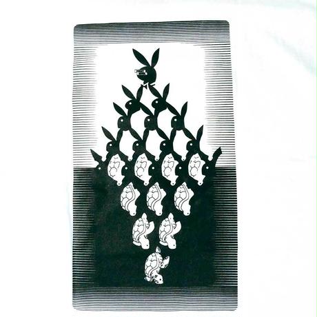 5b05aa54ef843f672b0001e0