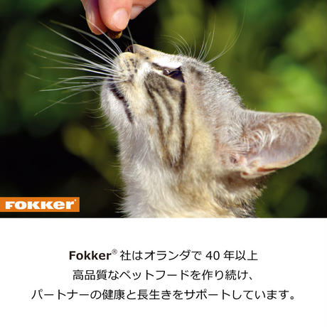 5ea1109055fa031d315f5843