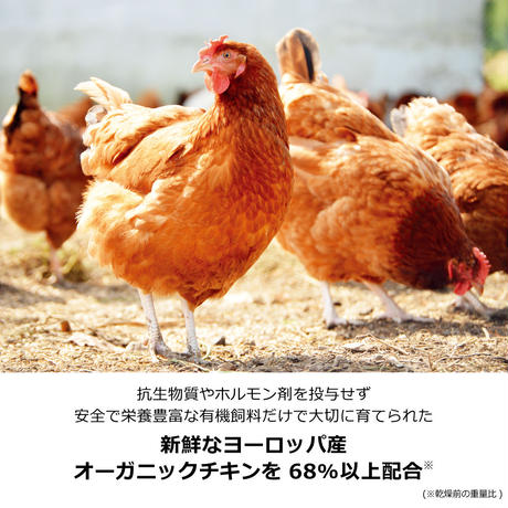 5ea1109055fa031d315f5843