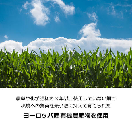 5ea1109055fa031d315f5843