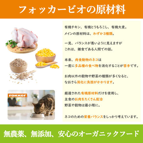 5ea1109055fa031d315f5843