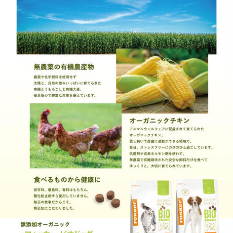 5e840919e20b0466f482e332