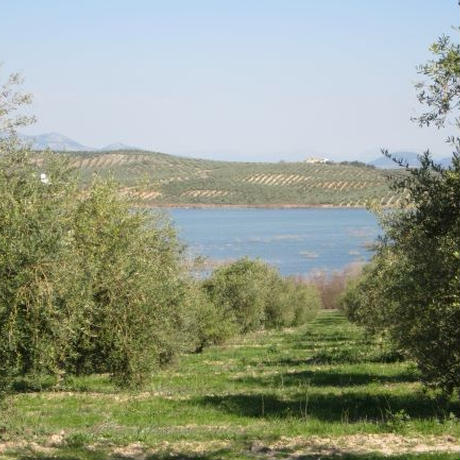 5c15bc05c3976c4ab248022f