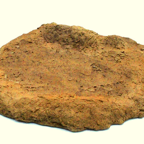 5be94d085496ff60de001240