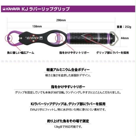 5b961a86ef843f400b0001e0