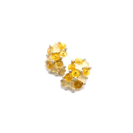 5ec34abf55fa034fd20fc429