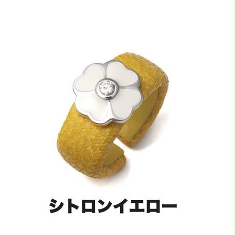 550c43732b34926f12001412