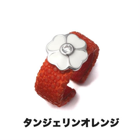550c43732b34926f12001412